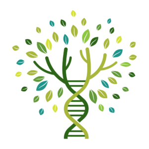 DNA Family Tree